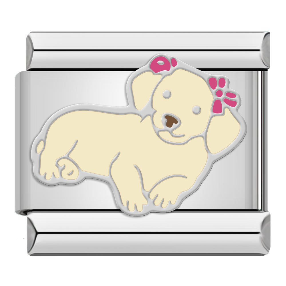 Hond met bloemkroon