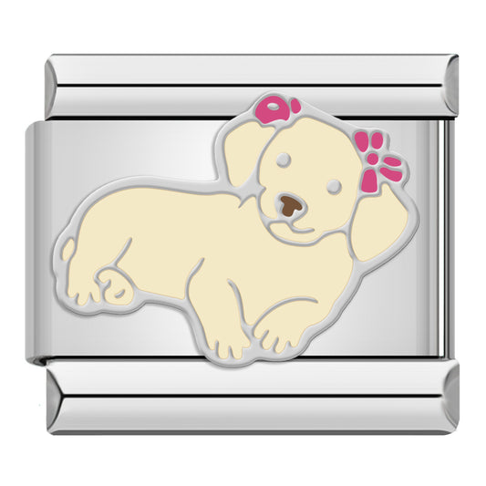 Hond met bloemkroon