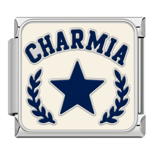 Charmia ster zilver